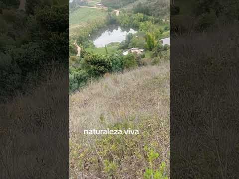 la belleza de nuestros campos boyacenses   #Combita Boyaca