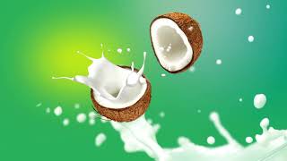 Coconut Milk Powder 2 Tamil