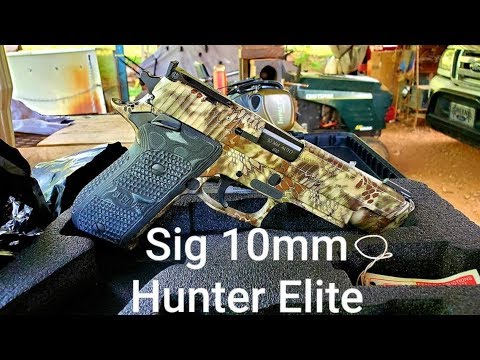 Sig Sauer 10mm Hunter P220