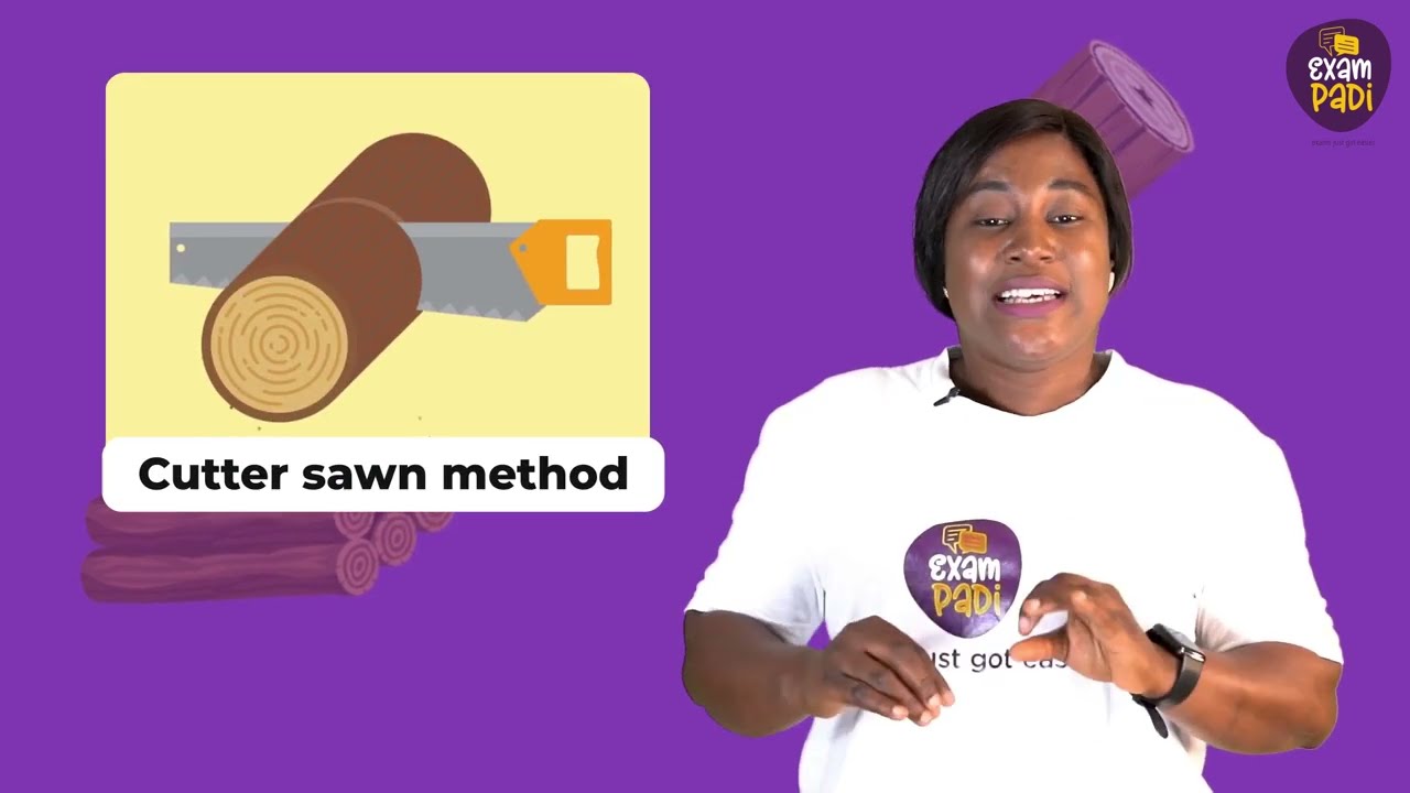 Wood Processing | ExamPadi | Basic Tech | JSS3