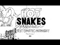 Hot Snakes - Past Lives