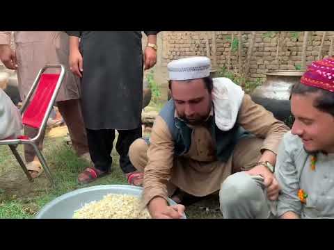 Jaffary Qasbagar Funny Scance