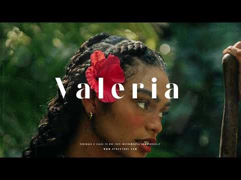 Afrobeat x Latino Type Beat - "Valeria" | Afrobeat Instrumental 2024