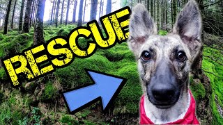 Adventure Buddy - Hiking With Dogs
