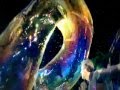 Gazzilion Bubble Show