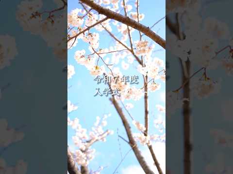 令和7年度 入学式