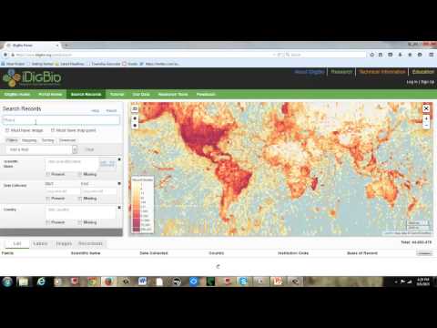 How do you identify a fossil?