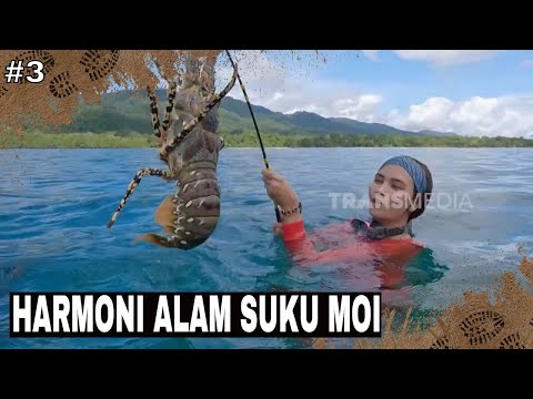 HARMONI ALAM SUKU MOI | JEJAK PETUALANG (18/06/25) Part 3