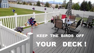 Keep birds off the deck railing