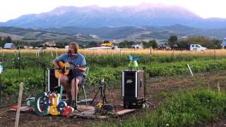 Nathan Moore - In the Waypoint Garden