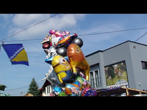 Puračić VAŠAR 2017