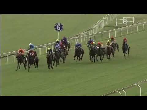 2018.11.24 Dingaans (RSA) - Hawwaam