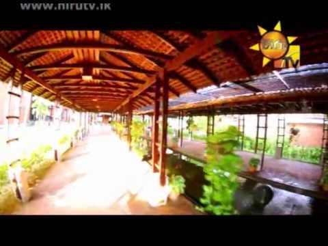 Hiru TV