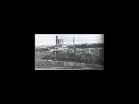 FREE 6 DOGS TYPE BEAT - DAYDREAM