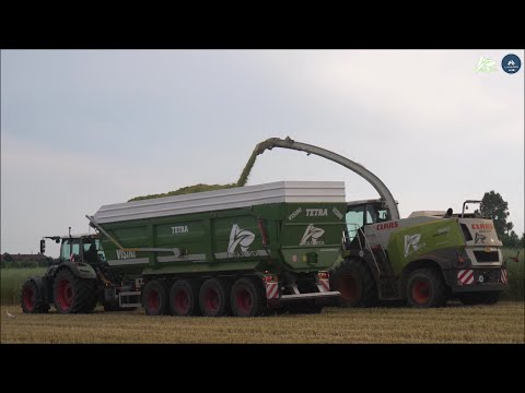 Claas Jaguar 980 (497) & 4 Fendt - AGLIARDI - Trinciatura miscuglio 2024