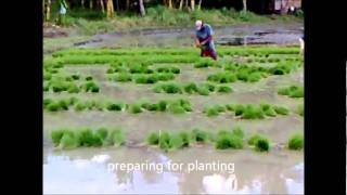 Ang Basakan sa Kabukiran.wmv