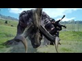 Vidéo de gameplay de Final Fantasy XV  Toute Plateformes