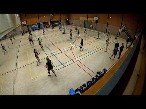 VCH DS2 - Armixtos DS3