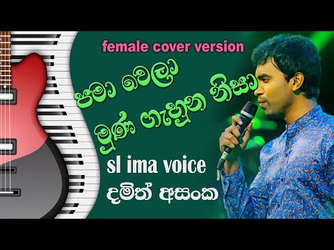 Pama Wela Muna Gahunu Nisa (Lyrics) - Damith Asanka - පමා වෙලා මුන ගැහුන නිසා - sl ima voice
