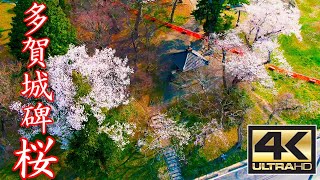 多賀城　空撮動画