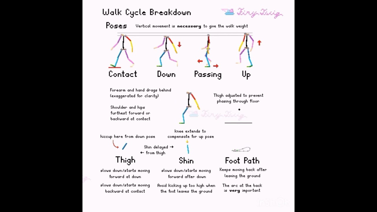 Walk Cycle Mechanics Breakdown - Animation Tutorial #animation #animationmeme #tutorial