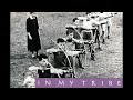 10,000 Maniacs - The Painted Desert  432Hz (lyrics in description)