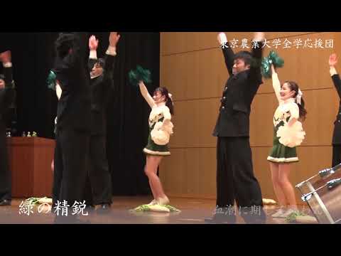 全学応援団「緑の精鋭」