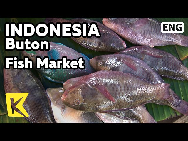 【K】Indonesia Travel-Buton[인도네시아 여행-부톤]바우바우 항구 어시장/Fish Market/Seafood/Tropical Fish/Baubau Port