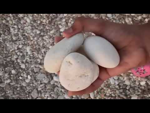 A day at the ..... | Pebble Beach ⛱️|  Oman| Activity: Collecting Pebbles & Stones