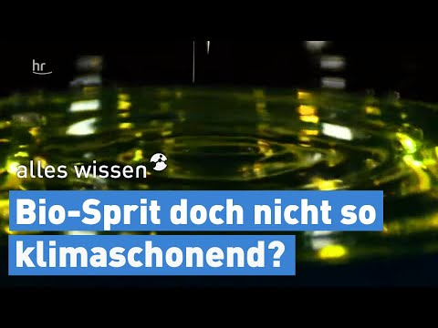 Biokraftstoffe für die Zukunft? | alles wissen