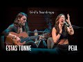 Bird's Teardrops || Estas Tonne feat. Peia || Ashland, Oregon 2018