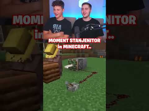 moment stanjenitor in minecraft 🔞 #shorts
