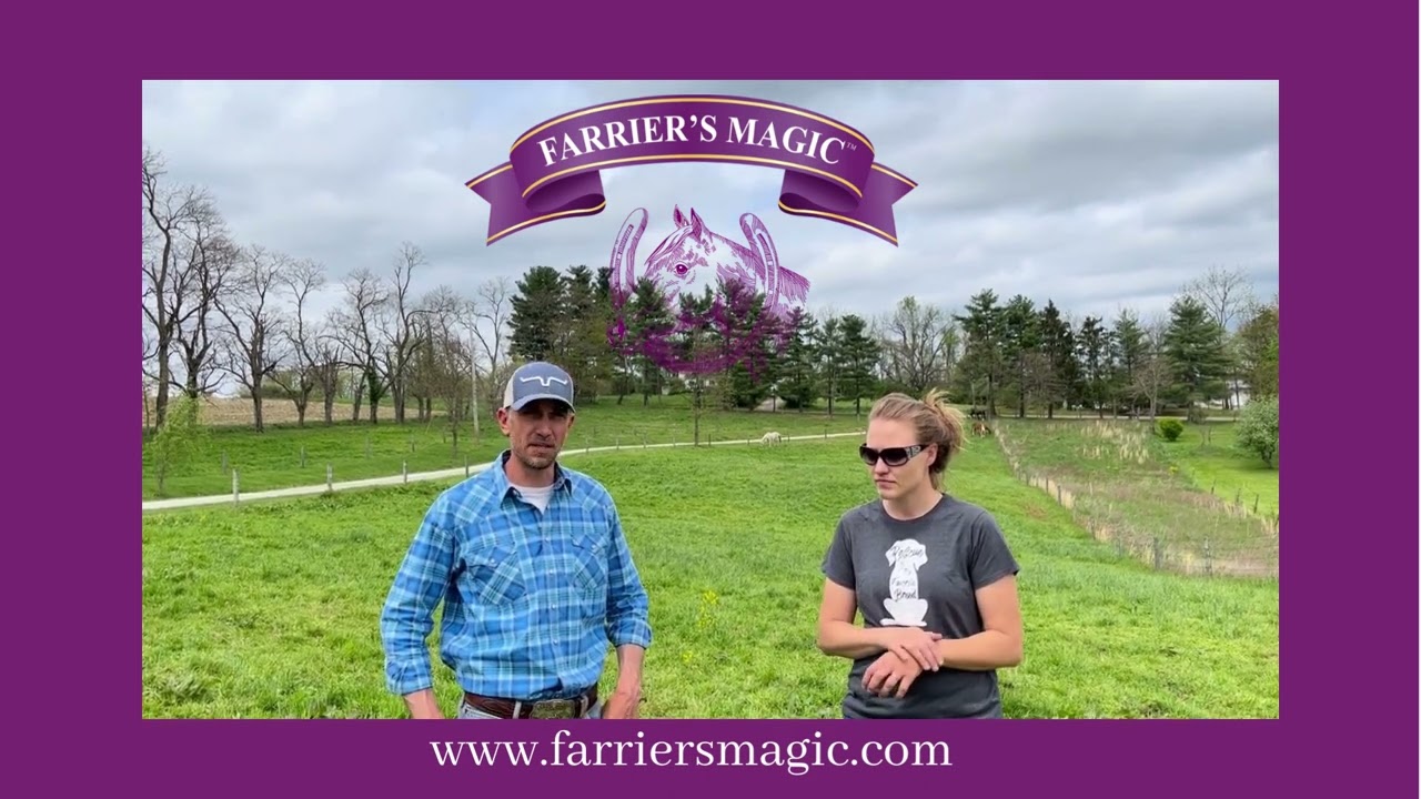 Bella Run Equine Reviews on Farrier's Magic