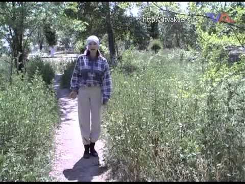 Итоговая программа «Постфактум» от 9 июня 2014 г.