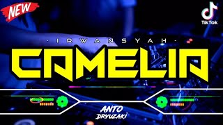 Download lagu DJ CAMELIA - IRWANSYAH‼️ VIRAL TIKTOK || FUNKOT VERSION mp3