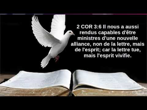 LA  PENTECOTE  ( PART 2 )  PASTEUR BENOIT  TSHIMBO