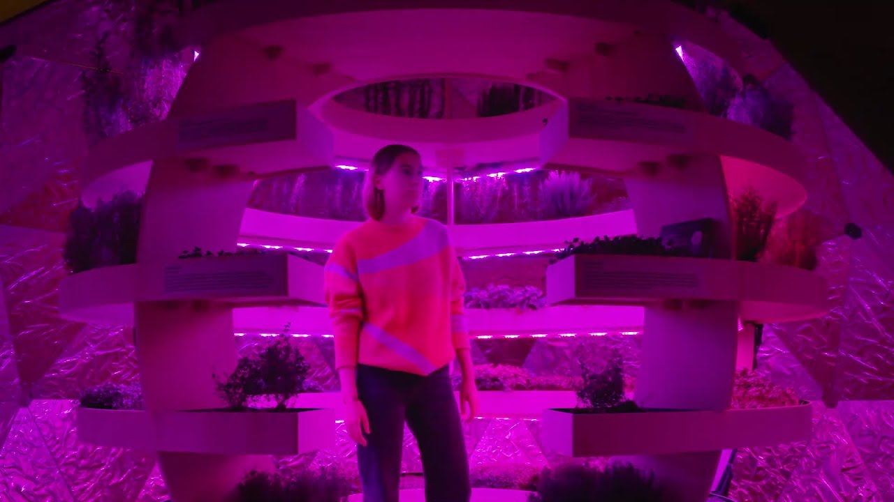 DDW23 | Aftermovie | Picture This