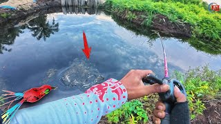 Download lagu MENDUNG GELAP SEBELUM MAGHRIB NEKAT MANCING GABUS MALAH DAPAT BABON 😱 || Casting Ikan Gabus mp3 Download lagu MENDUNG GELAP SEBELUM MAGHRIB NEKAT MANCING GABUS MALAH DAPAT BABON 😱 || Casting Ikan Gabus mp3