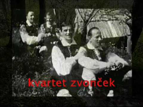 Rudi Bardorfer - Spomin na zvončke