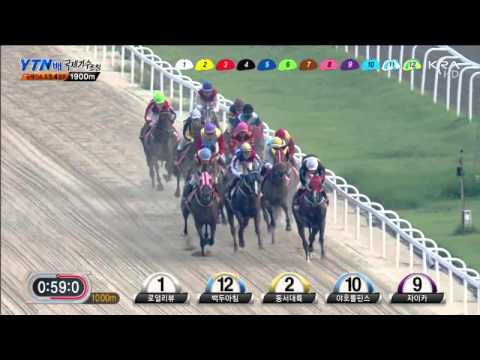 YTN Cup 2013 Choichoro