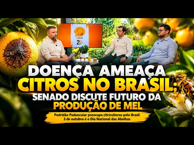 Doença Ameaça Citros no Brasil; Senado Discute Futuro da Produção de Mel.