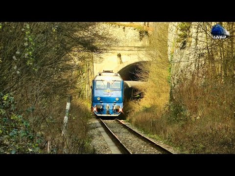 Mega Horns Show by Isabella - Jimmy 65-0950-9 in Apuseni Mountains [Autumn Edition]