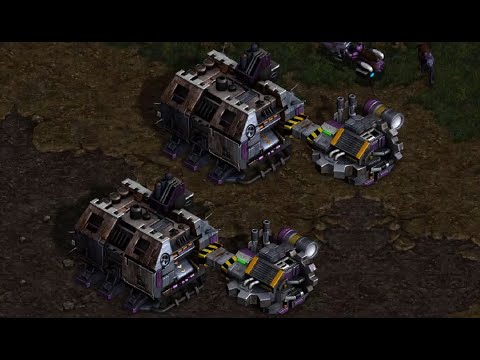 BoxeR (T) vs Nazgul (P) on Neo Jungle Story - StarCraft - Brood War - 2002