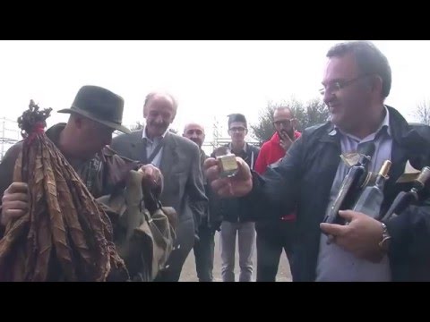 Contrabbandiere del tabacco da sigaro