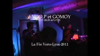 Snoo PetGomoy Turntables&Flutes La Fee Verte 2011