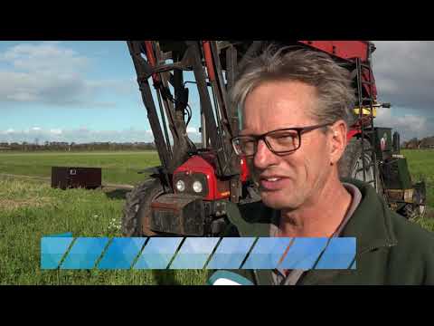 Boeren ongerust over dreigend verbod onkruidgif: "We moeten straks giftiger spul gebruiken"