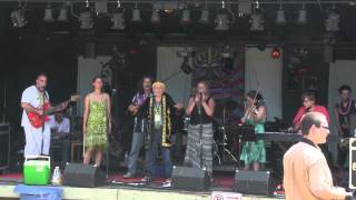 ELECTRIC Medicine - Rasta Man (Live @ Michigan Peacefest)