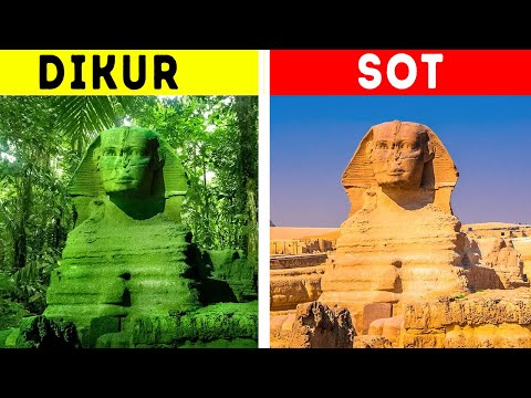 Xhungla e Zhdukur qe Ndodhej Prane Piramidave • Fakte Interesante