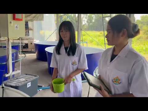 Advantages and Disadvantages of Fish Farming in Biofolk System vs. Pond Raising