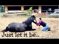 Just let it be... 